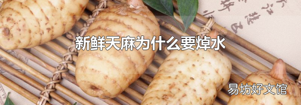 新鮮天麻為什么要焯水