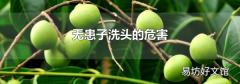 无患子洗头的危害