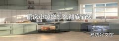 廚房小蟑螂怎么徹底消滅