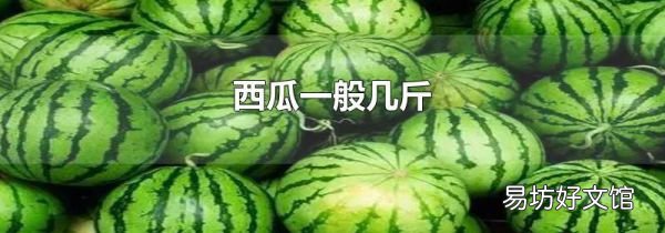 西瓜一般幾斤