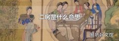 二房是什么意思
