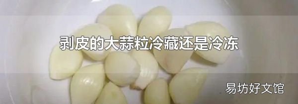 剝皮的大蒜粒冷藏還是冷凍