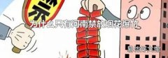 為什么只有河南禁放煙花爆竹