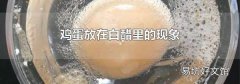 鸡蛋放在白醋里的现象