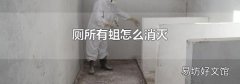 厕所有蛆怎么消灭