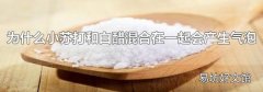 为什么小苏打和白醋混合在一起会产生气泡