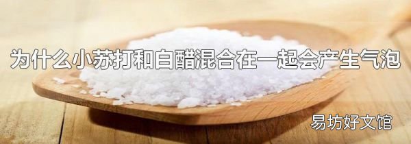 為什么小蘇打和白醋混合在一起會產(chǎn)生氣泡