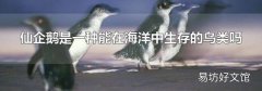 仙企鹅是一种能在海洋中生存的鸟类吗