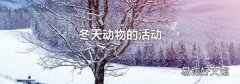 冬天动物的活动
