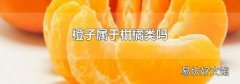 橙子属于柑橘类吗
