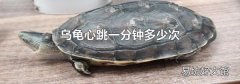 乌龟心跳一分钟多少次