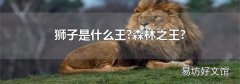狮子是什么王?森林之王?