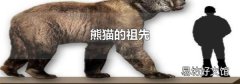 熊猫的祖先