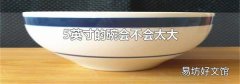 5英寸的碗会不会太大