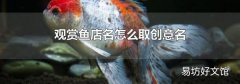觀賞魚店名怎么取創(chuàng)意名