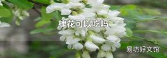 槐花可以吃吗