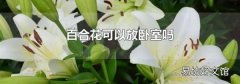 百合花可以放卧室吗
