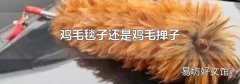 鸡毛毯子还是鸡毛掸子