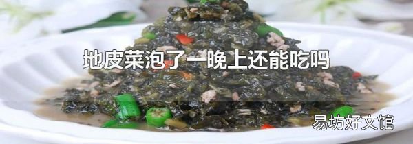 地皮菜泡了一晚上还能吃吗