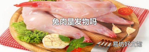 兔肉是发物吗