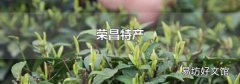 荣昌特产