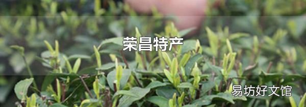 荣昌特产
