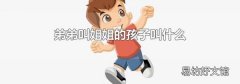 弟弟叫姐姐的孩子叫什么