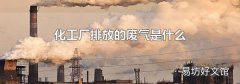 化工厂排放的废气是什么
