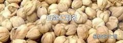 白蔻仁別名