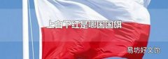 上白下红是哪国国旗