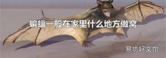 蝙蝠一般在家里什么地方做窝
