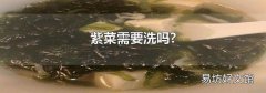 紫菜需要洗吗?