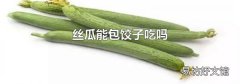 丝瓜能包饺子吃吗