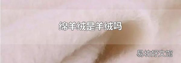 绵羊绒是羊绒吗