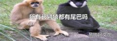 所有長臂猿都有尾巴嗎