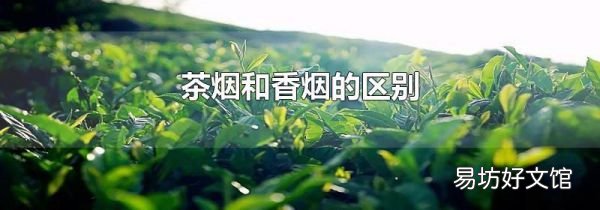 茶烟和香烟的区别