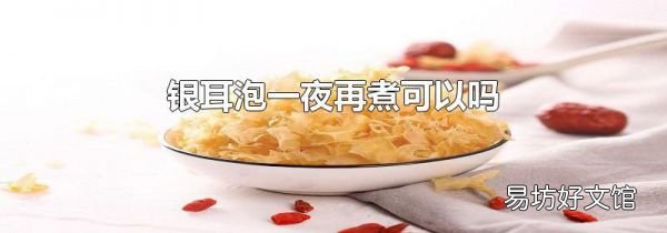 银耳泡一夜再煮可以吗