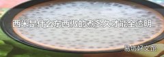西米是什么东西做的煮多久才能全透明