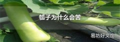 瓠子为什么会苦