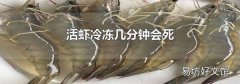 活虾冷冻几分钟会死