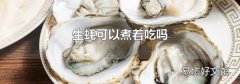 生蚝可以煮着吃吗