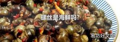 螺丝是海鲜吗?