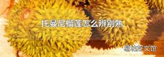 托曼尼榴莲怎么辨别熟