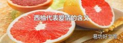 西柚代表爱情的含义
