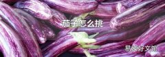 茄子怎么挑