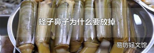 蛏子鼻子为什么要放掉