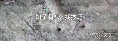 知了洞怎么找技巧