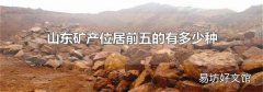 山东矿产位居前五的有多少种