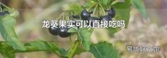 龙葵果实可以直接吃吗