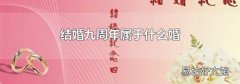 结婚九周年属于什么婚